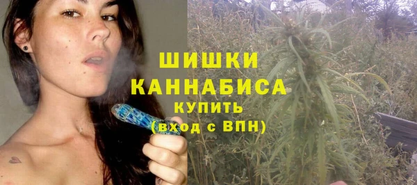 стаф Вязники