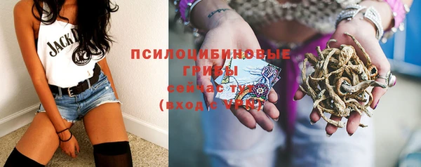 ешки Вяземский